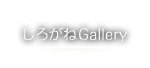 しろがねGallery